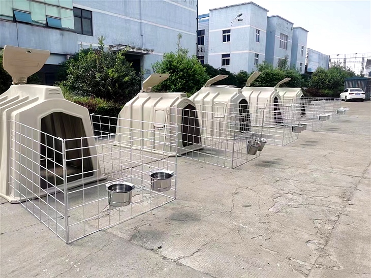 犢牛島 犢牛島